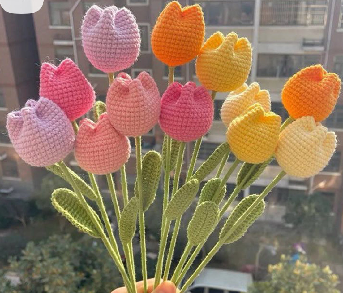 Tulip Tales - Single Stems